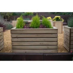 Forest Garden Wooden Linear Double Planter 9 Forest Garden Wooden Linear Double Planter -The Green Bulbs Sales 12814339 1664832957292915