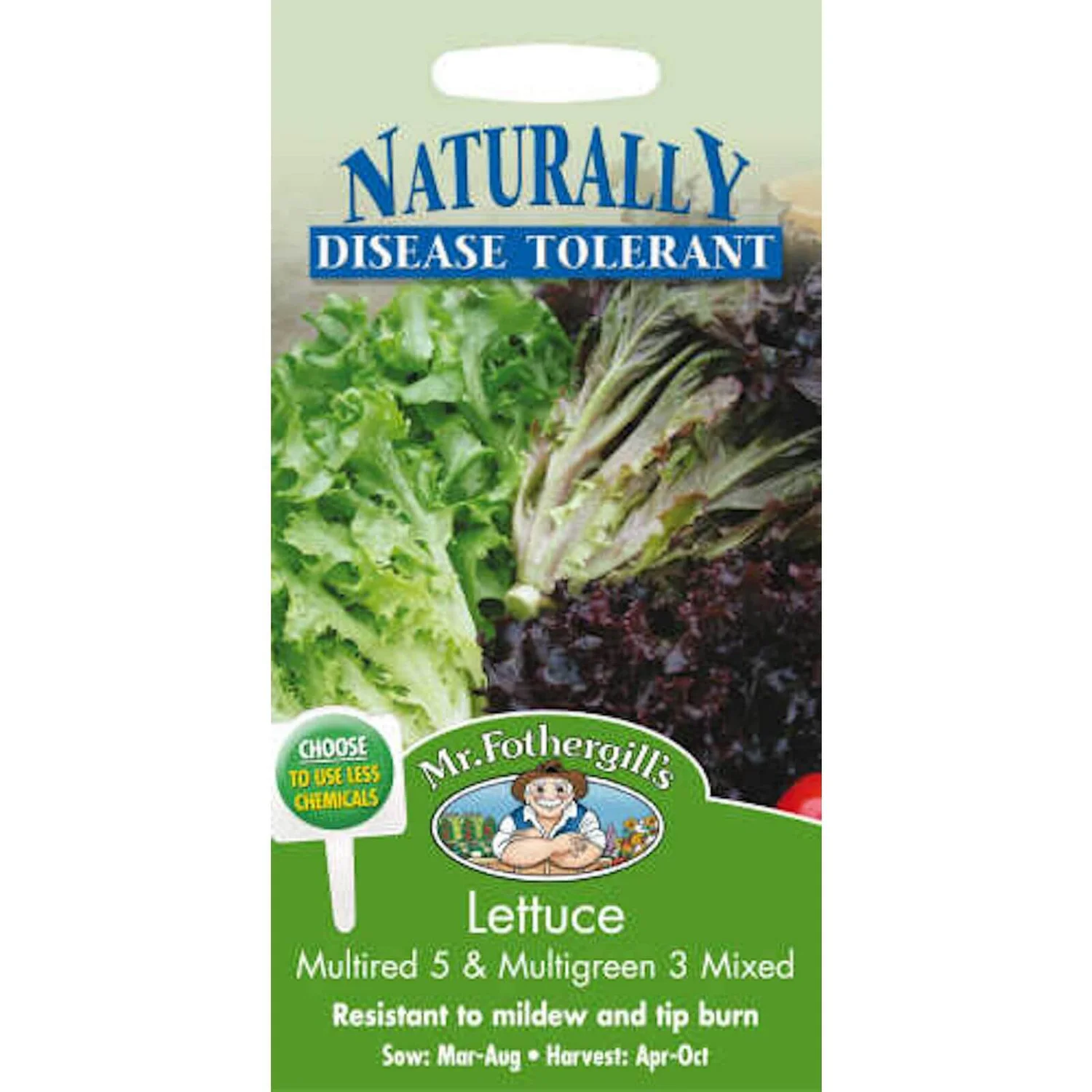 Mr. Fothergill's Lettuce Multired & Multigreen Mixed Vegetable Seeds 1 Mr. Fothergill's Lettuce Multired & Multigreen Mixed Vegetable Seeds