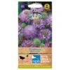 Mr. Fothergill's Scabious Blue Cushion Seeds