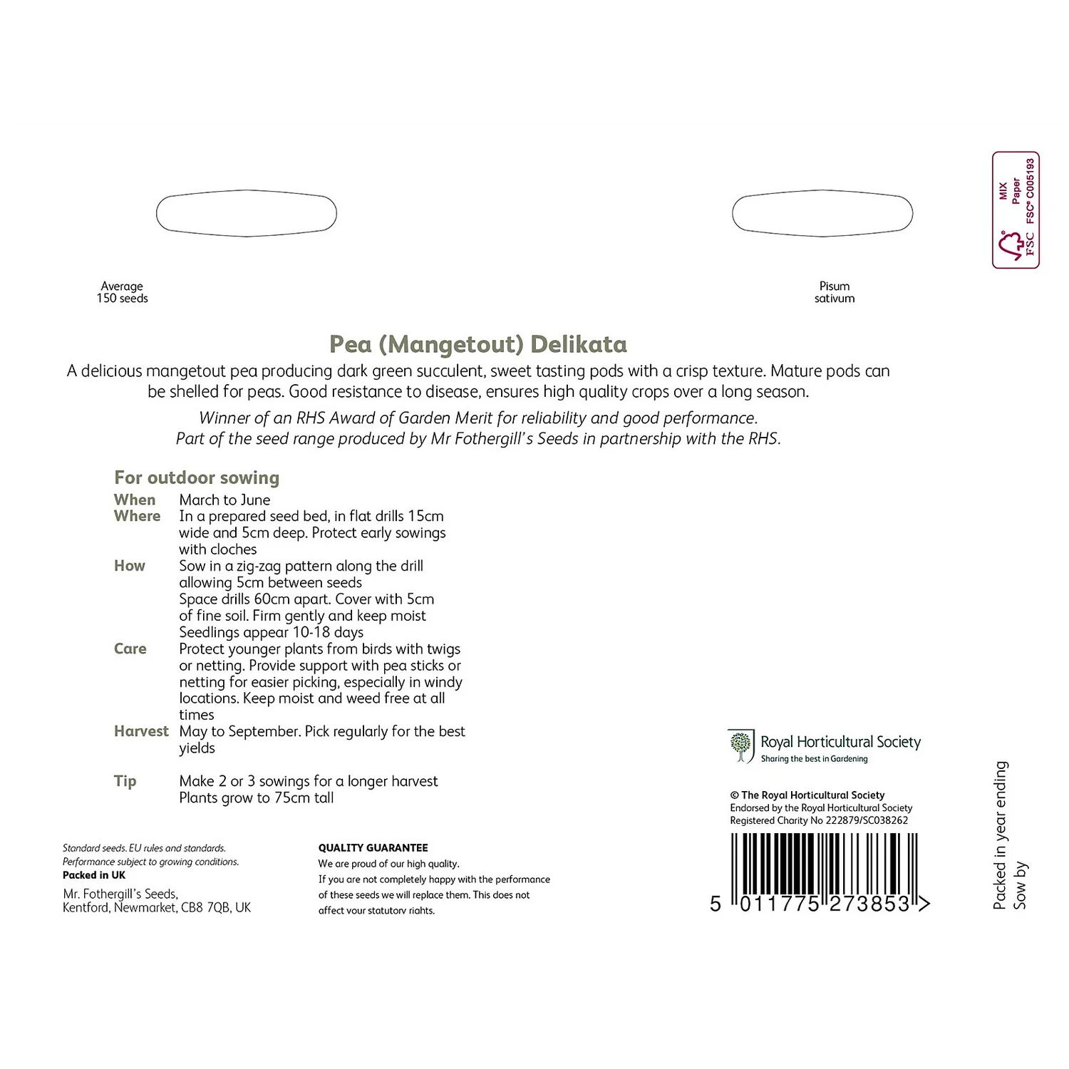 RHS Pea Mangetout Delikata Seeds 2 RHS Pea Mangetout Delikata Seeds - Image 2