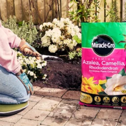 Miracle Gro Premium Azalea, Camellia & Rhododendron Ericaceous Compost - 40L -The Green Bulbs Sales 12882812 1004843671886080