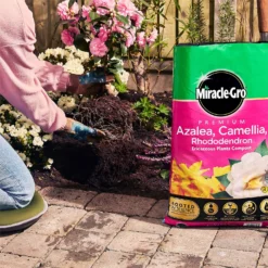 Miracle Gro Premium Azalea, Camellia & Rhododendron Ericaceous Compost - 40L -The Green Bulbs Sales 12882812 1924843671918789