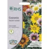 RHS Gazania Talent Mixed