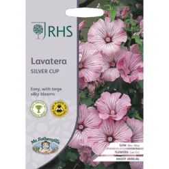 RHS Lavatera Sliver Cup