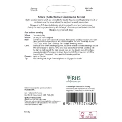 The Green Bulbs Sales -The Green Bulbs Sales 12884807 2094843469874402