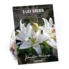 Oriental Lily Siberia