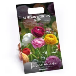 None Ranunculus Mixed