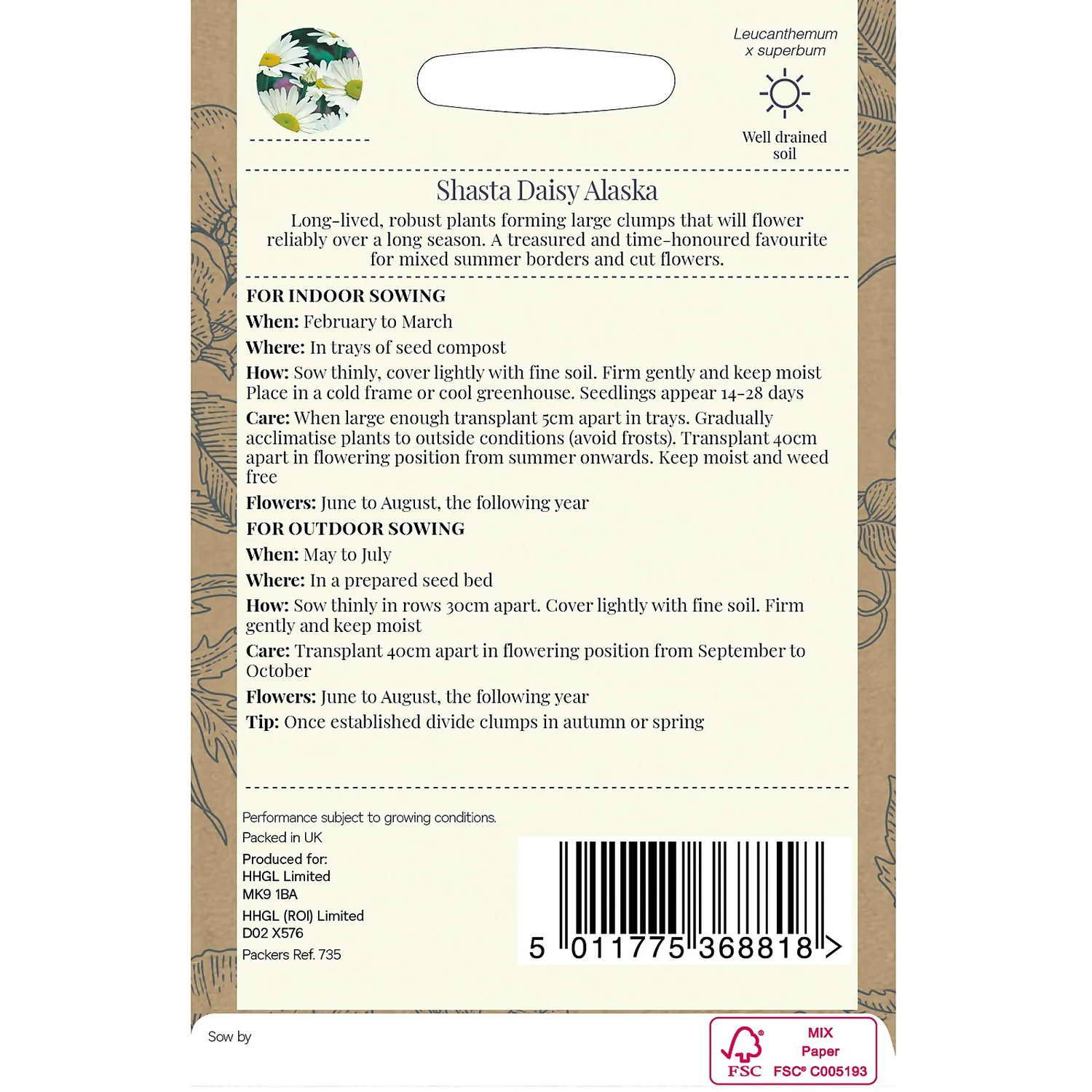 Country Living Shasta Daisy Alaska Seeds 2 Country Living Shasta Daisy Alaska Seeds - Image 2