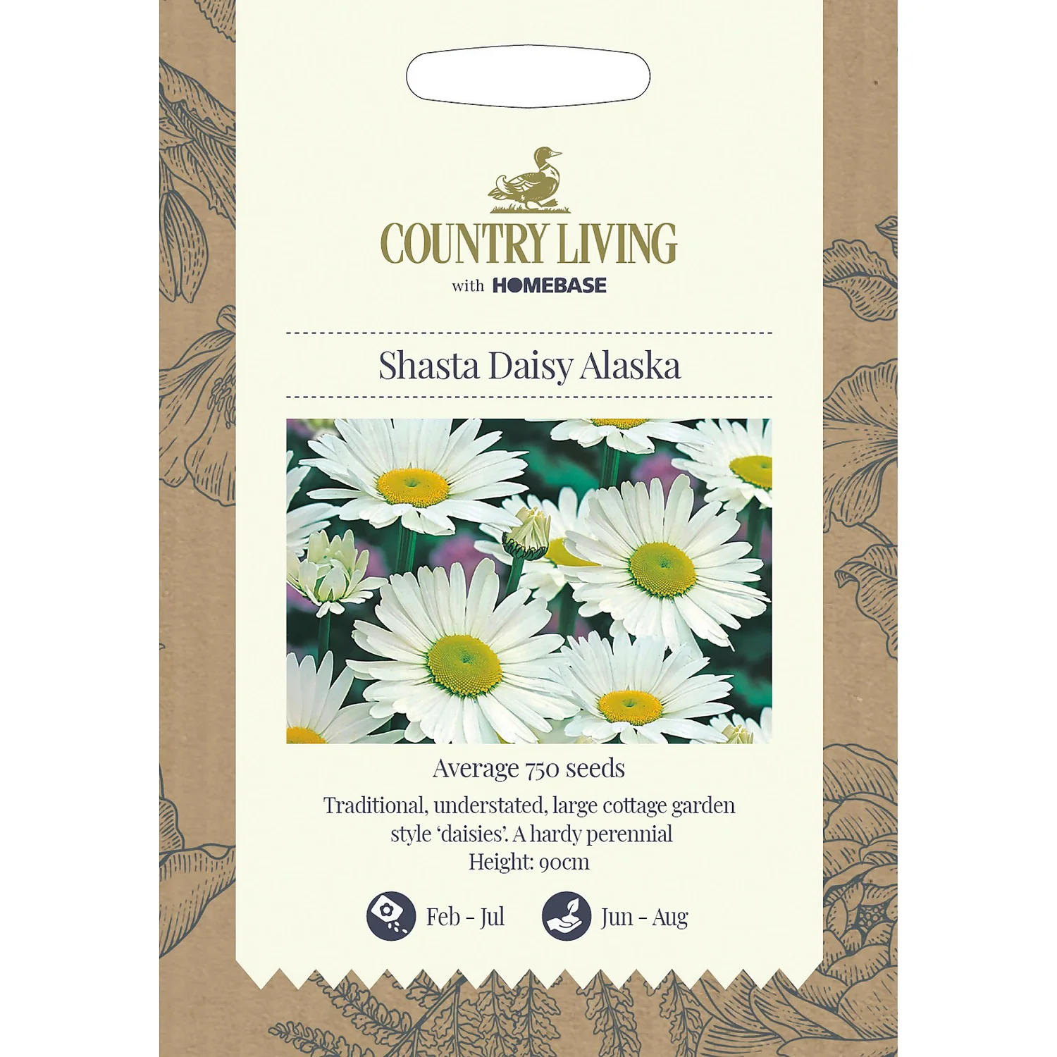 Country Living Shasta Daisy Alaska Seeds 1 Country Living Shasta Daisy Alaska Seeds