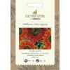 Country Living Sunflower Velvet Queen Seeds