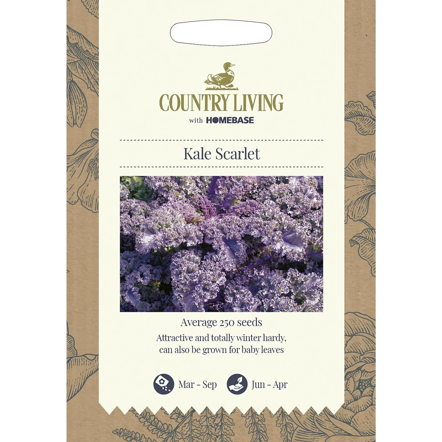 Country Living Kale Scarlet Seeds 1 Country Living Kale Scarlet Seeds