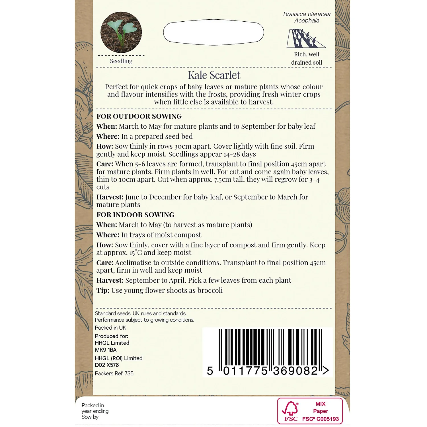 Country Living Kale Scarlet Seeds 2 Country Living Kale Scarlet Seeds - Image 2