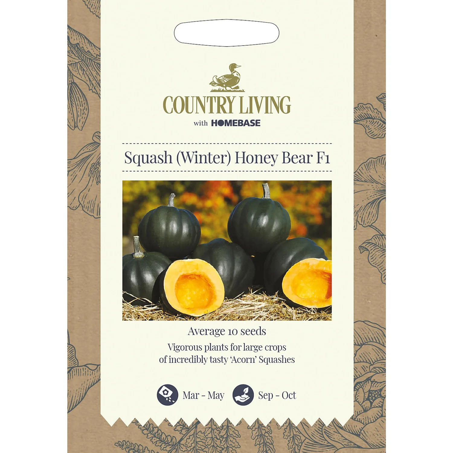 Country Living Squash Winter Honey Bear F1 Seeds 1 Country Living Squash Winter Honey Bear F1 Seeds