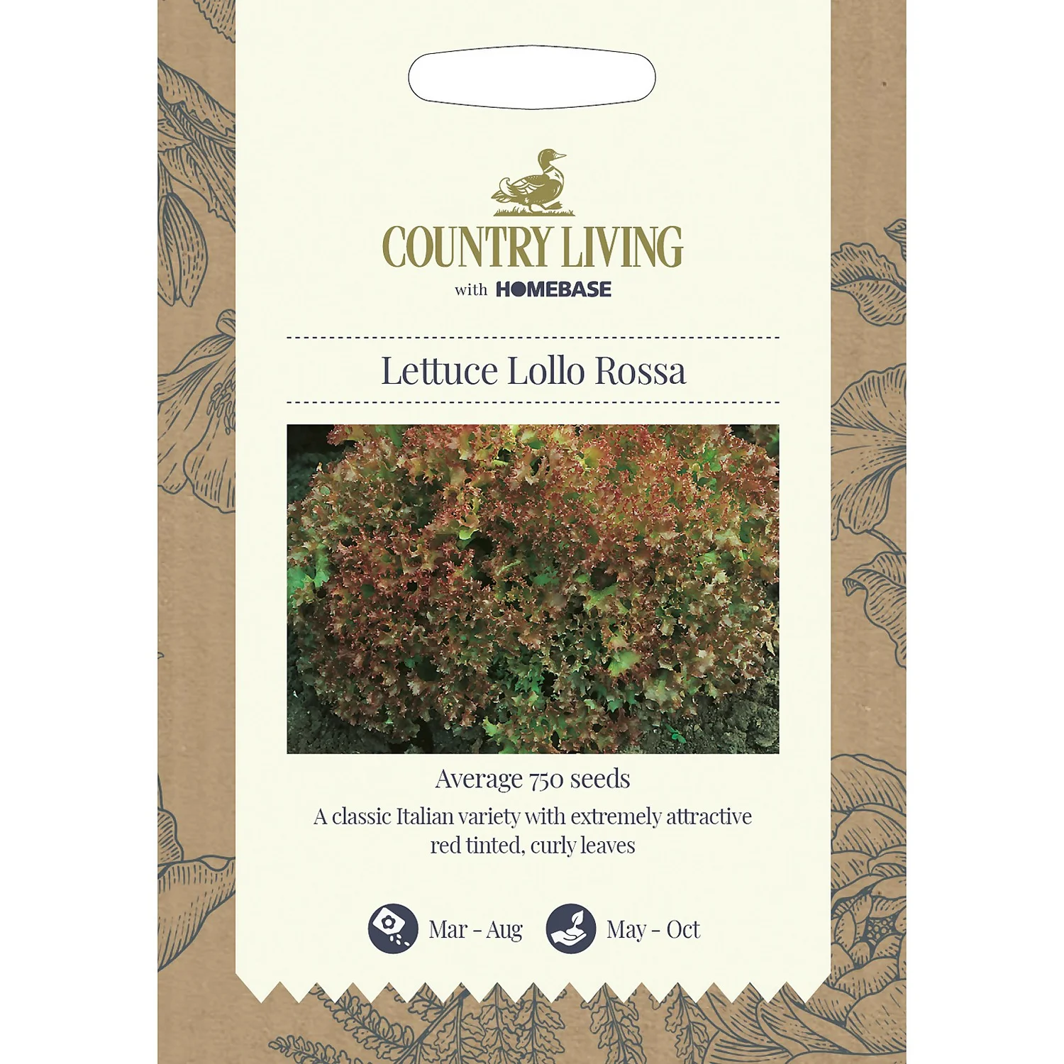 Country Living Lettuce Lollo Rossa Seeds 1 Country Living Lettuce Lollo Rossa Seeds