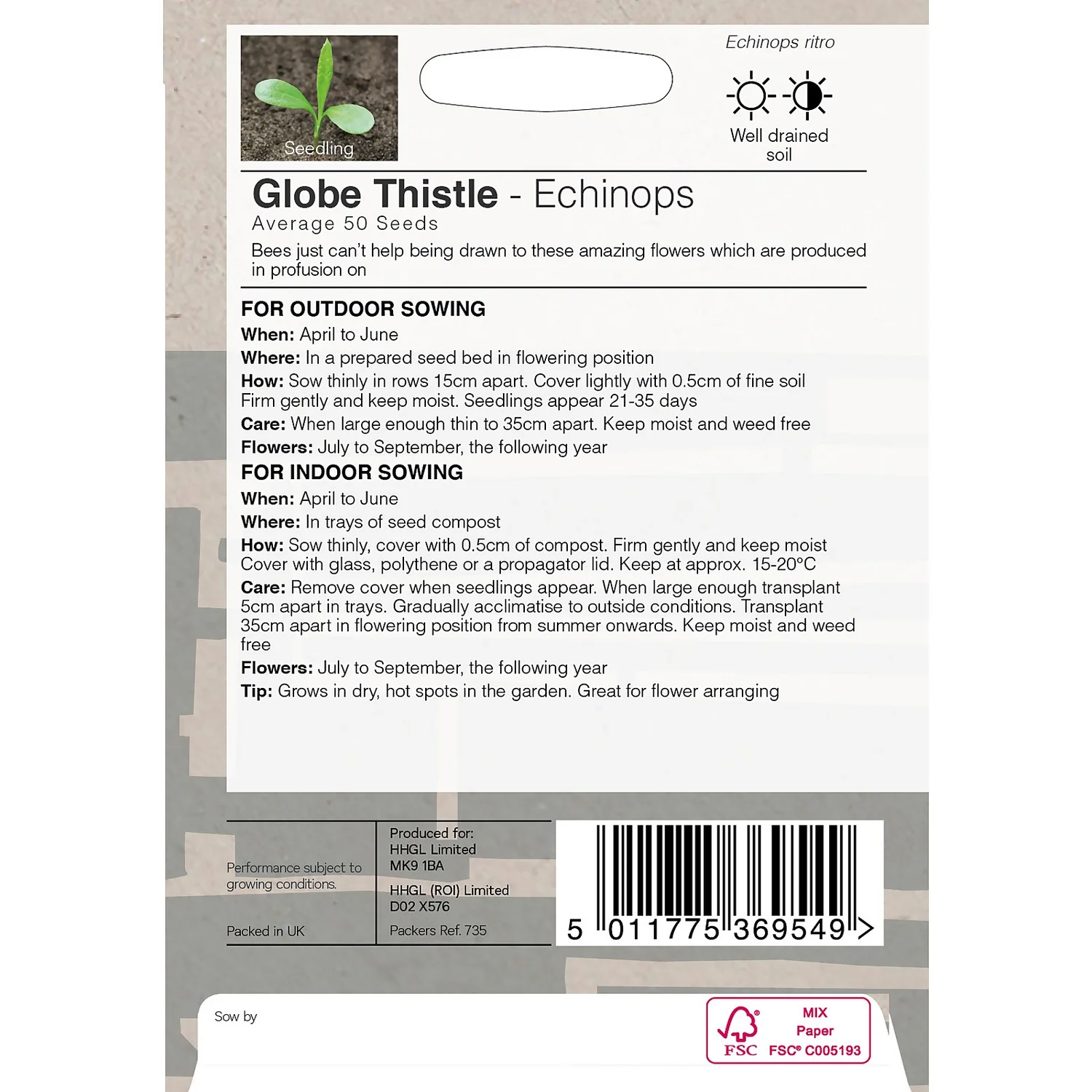 House Beautiful Echinops Globe Thistle Seeds 2 House Beautiful Echinops Globe Thistle Seeds - Image 2