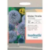 House Beautiful Echinops Globe Thistle Seeds