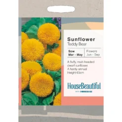House Beautiful Sunflower Teddy Bear Seeds
