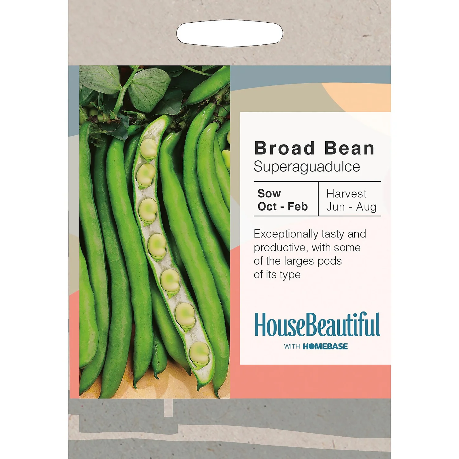 House Beautiful Broad Bean Superaguadulce Seeds 1 House Beautiful Broad Bean Superaguadulce Seeds