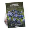 Agapanthus Black Buddhist Flower Bulb