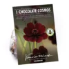 Chocolate Cosmos Flower Bulb