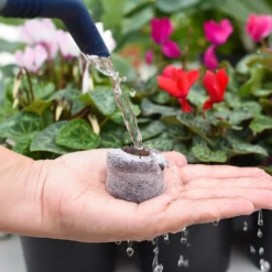 Coco & Coir Seed Germination Dots - 40mm -The Green Bulbs Sales 13487129 3894919981363337