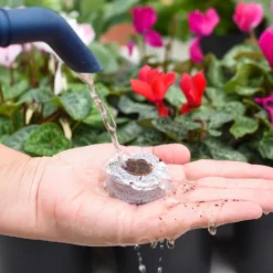 Coco & Coir Seed Germination Dots - 40mm -The Green Bulbs Sales 13487129 7814919981385408