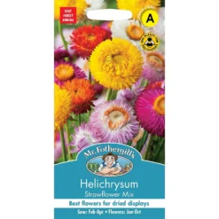 Mr. Fothergill's Helichrysum Strawflower Mix Seeds