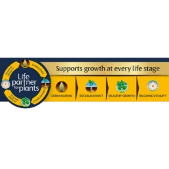 Westland Peat Free Multi Purpose Compost With John Innes 10L 5 Westland Peat Free Multi Purpose Compost With John Innes 10L -The Green Bulbs Sales 14013775 1405003754352752