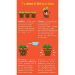 Westland Cacti & Succulent Potting Mix Peat Free 4L -The Green Bulbs Sales 14013786 1245003754031248