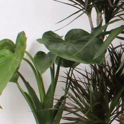 The Green Bulbs Sales -The Green Bulbs Sales 14195502 1945014369780770