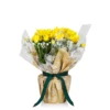 Gift Wrapped Chrysanthemum - 12cm