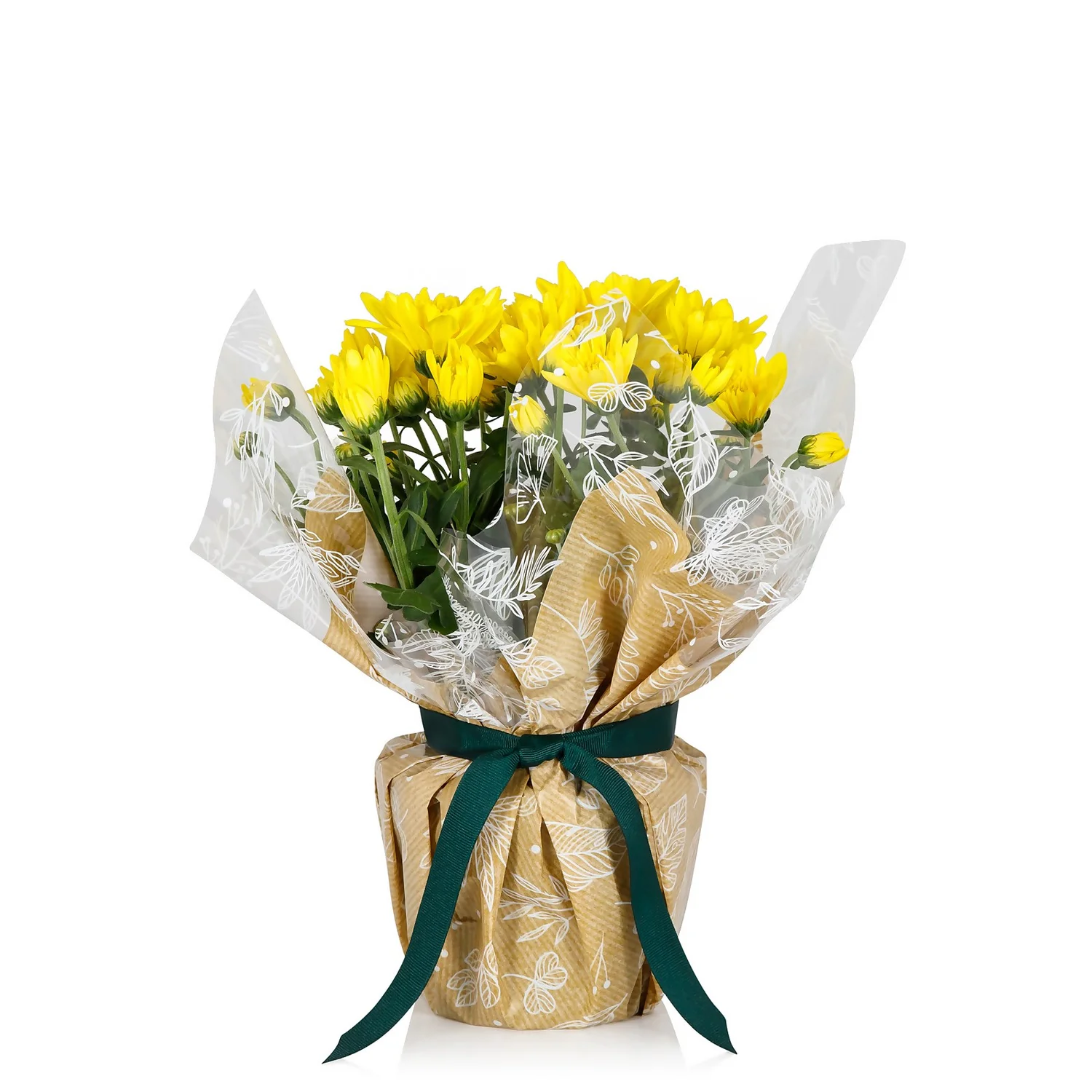 Gift Wrapped Chrysanthemum - 12cm 1 Gift Wrapped Chrysanthemum - 12cm